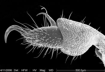 Media type: image;   Invertebrate Zoology 134690